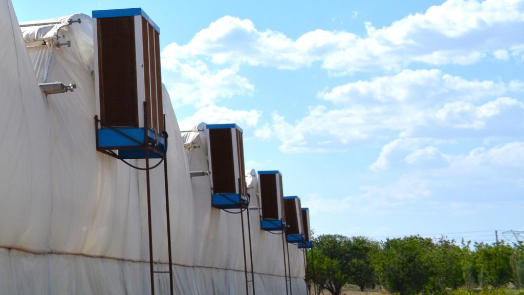 کولر صنعتی آکسیال مخصوص گلخانه با راندمان بالا در خنکسازی فضاهای کشت